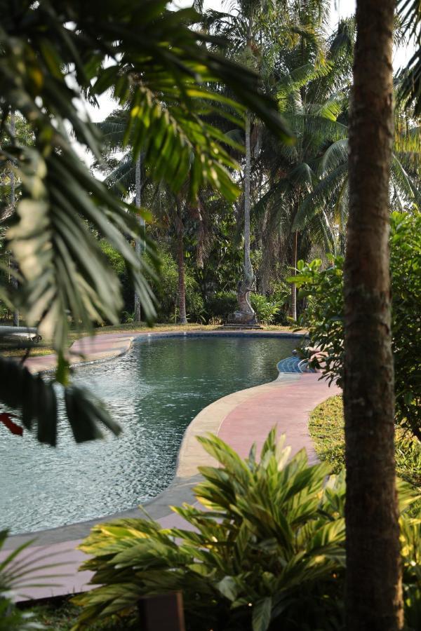 Naga Hill Resort Chiang Rai Exteriör bild